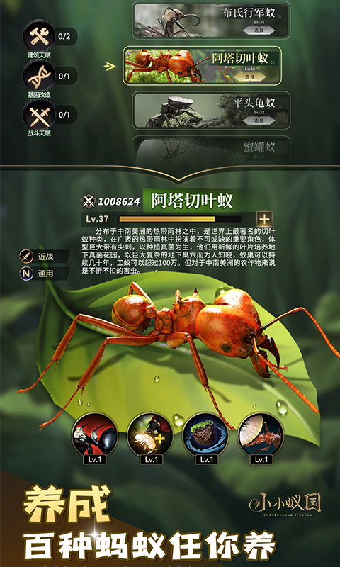 https://oss.xuanfengwan.com/2025061317141069197.jpg