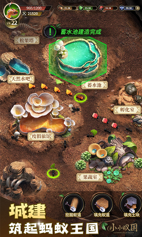 https://oss.xuanfengwan.com/2025061317141297151.jpg